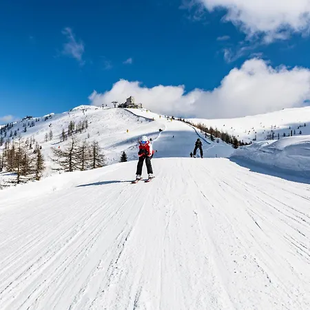 Steinwender Canaletto * Feld am See