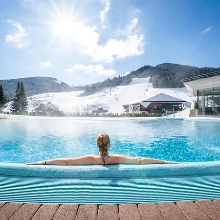 Steinwender Canaletto * Feld am See