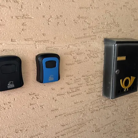 Daire Steinwender Canaletto