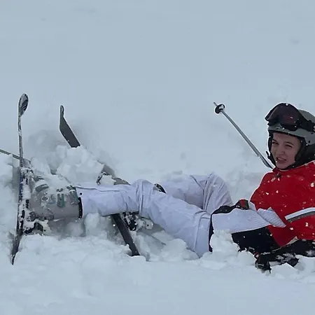 Steinwender Canaletto