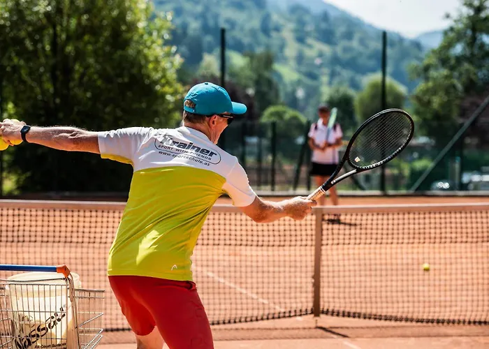 Steinwender Canaletto