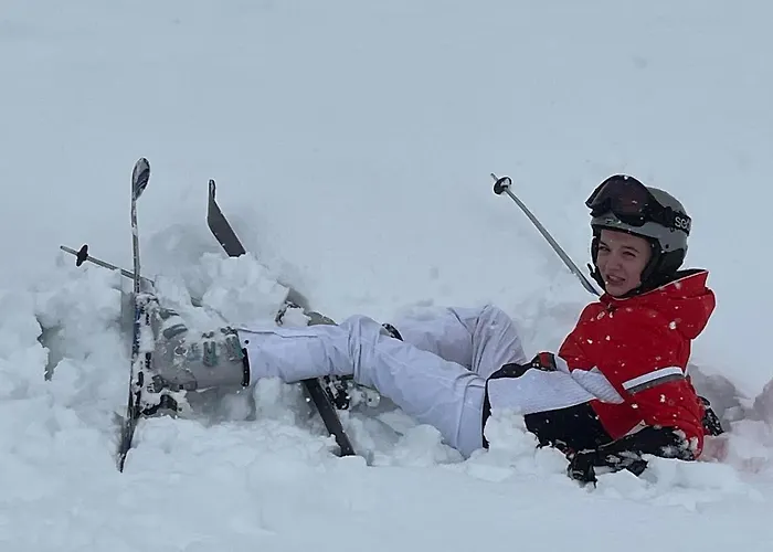 Steinwender Canaletto